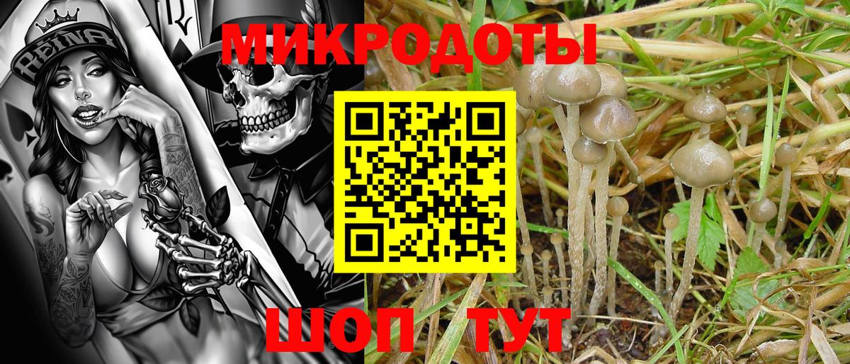Галлюциногенные грибы Psilocybine cubensis  Вход с VPN  Серпухов 