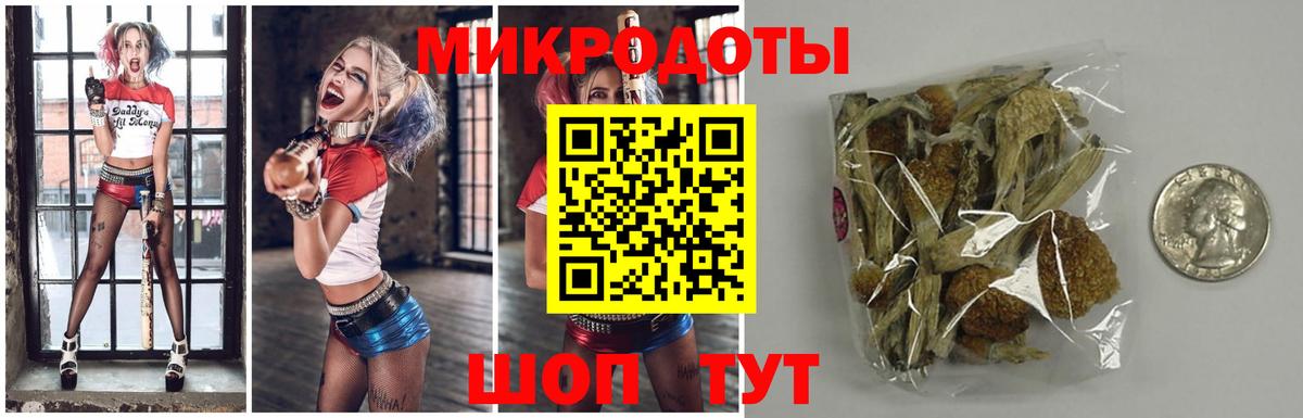 Псилоцибиновые грибы мухоморы Серпухов